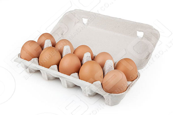 10 Count Egg Crate